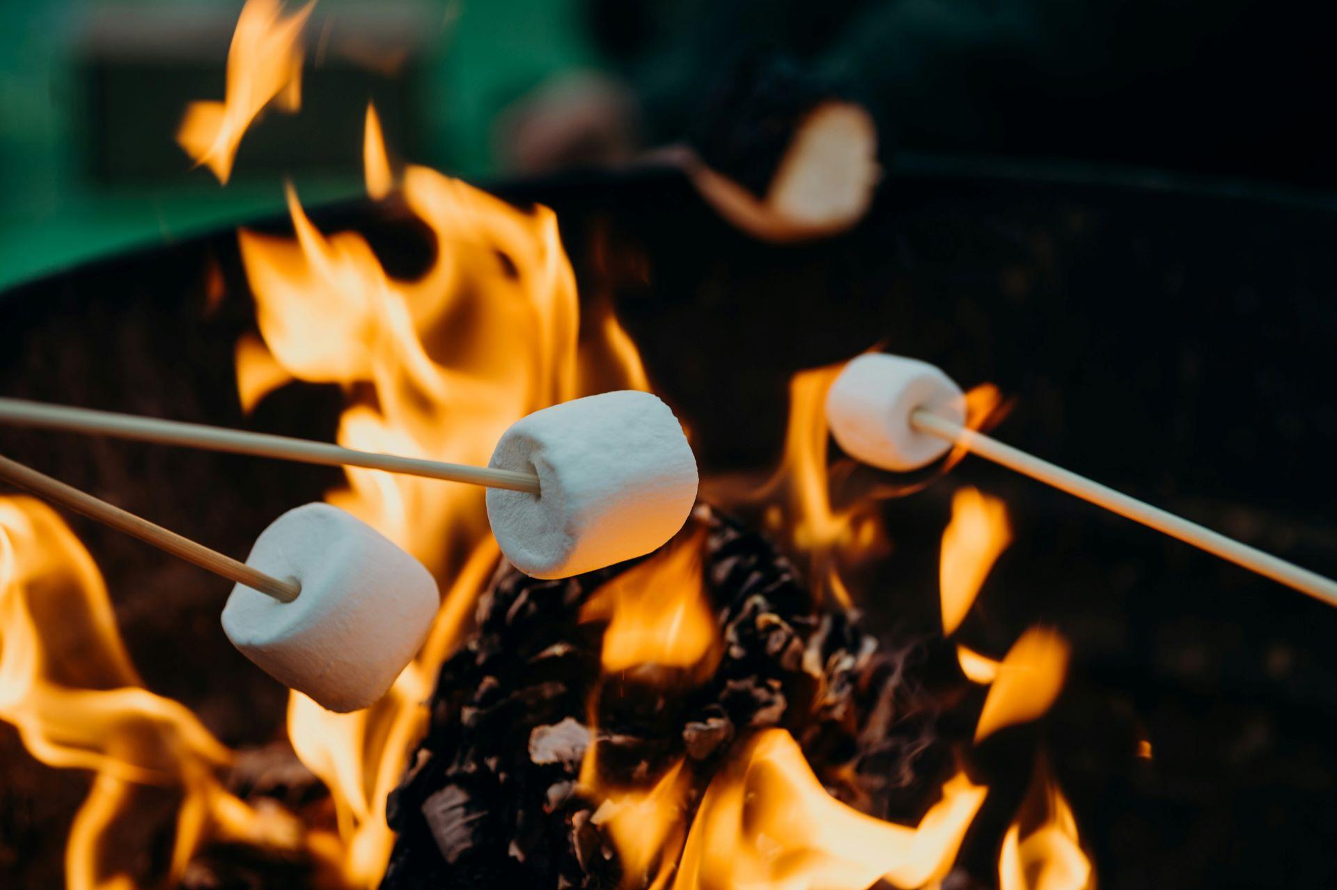 Marshmallows über einem offenen Feuer geröstet – stimmungsvolle Outdoor-Kochszene.