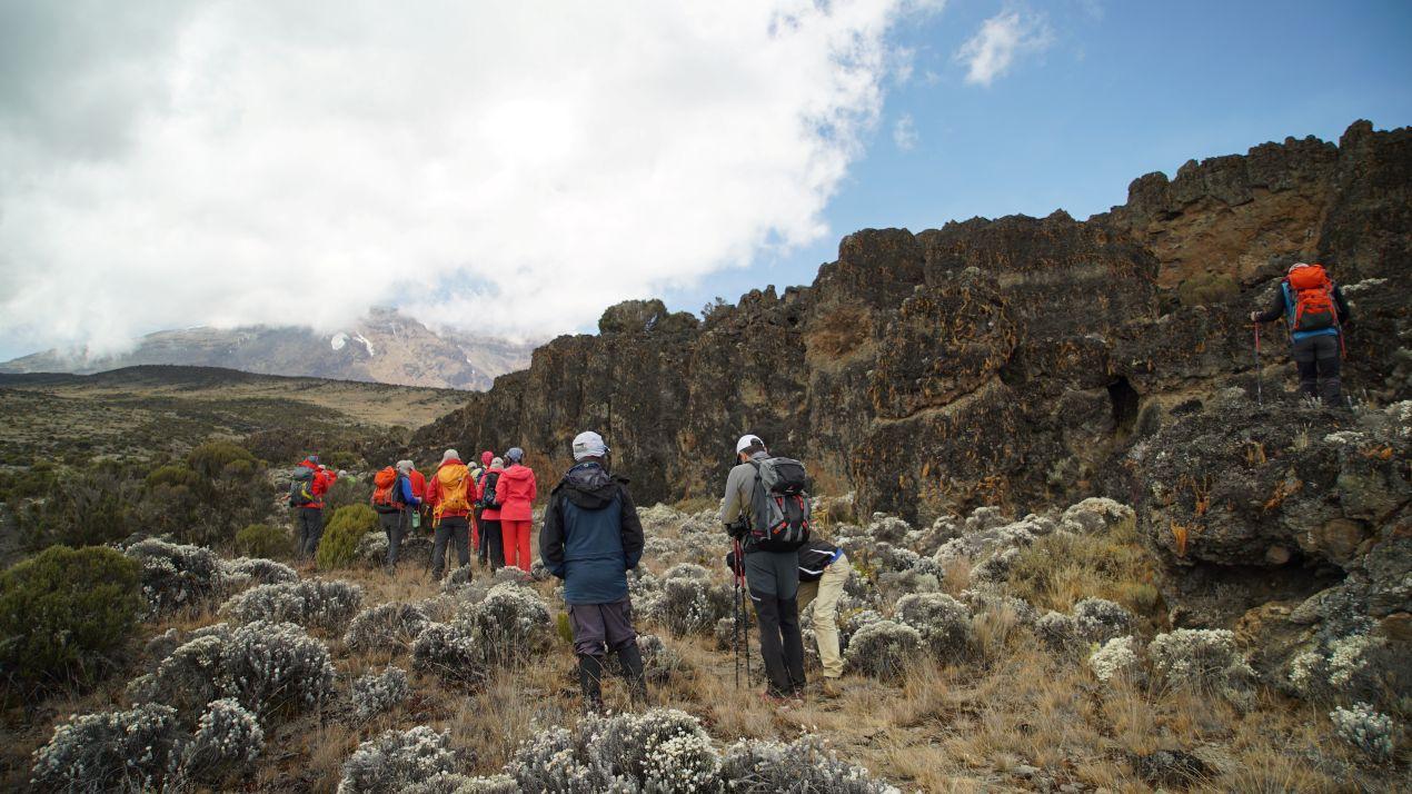 Eine Wandergruppe mit Trägern und Guides auf einer Kilimanjaro-Route, die das Abenteuer und die Kilimanjaro Besteigung Kosten veranschaulichen.